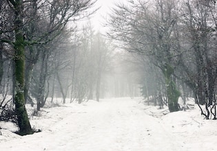 Snow storm photos
