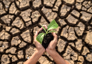 Global warming photos