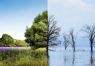 Climate change photos
