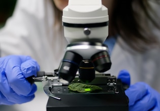 Biotechnology photos