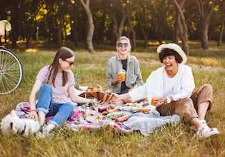 picnic photos