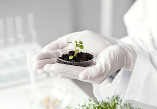 Science photos
