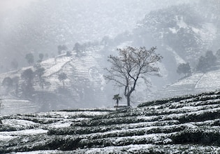 Winter photos