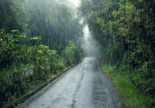 Rain photos